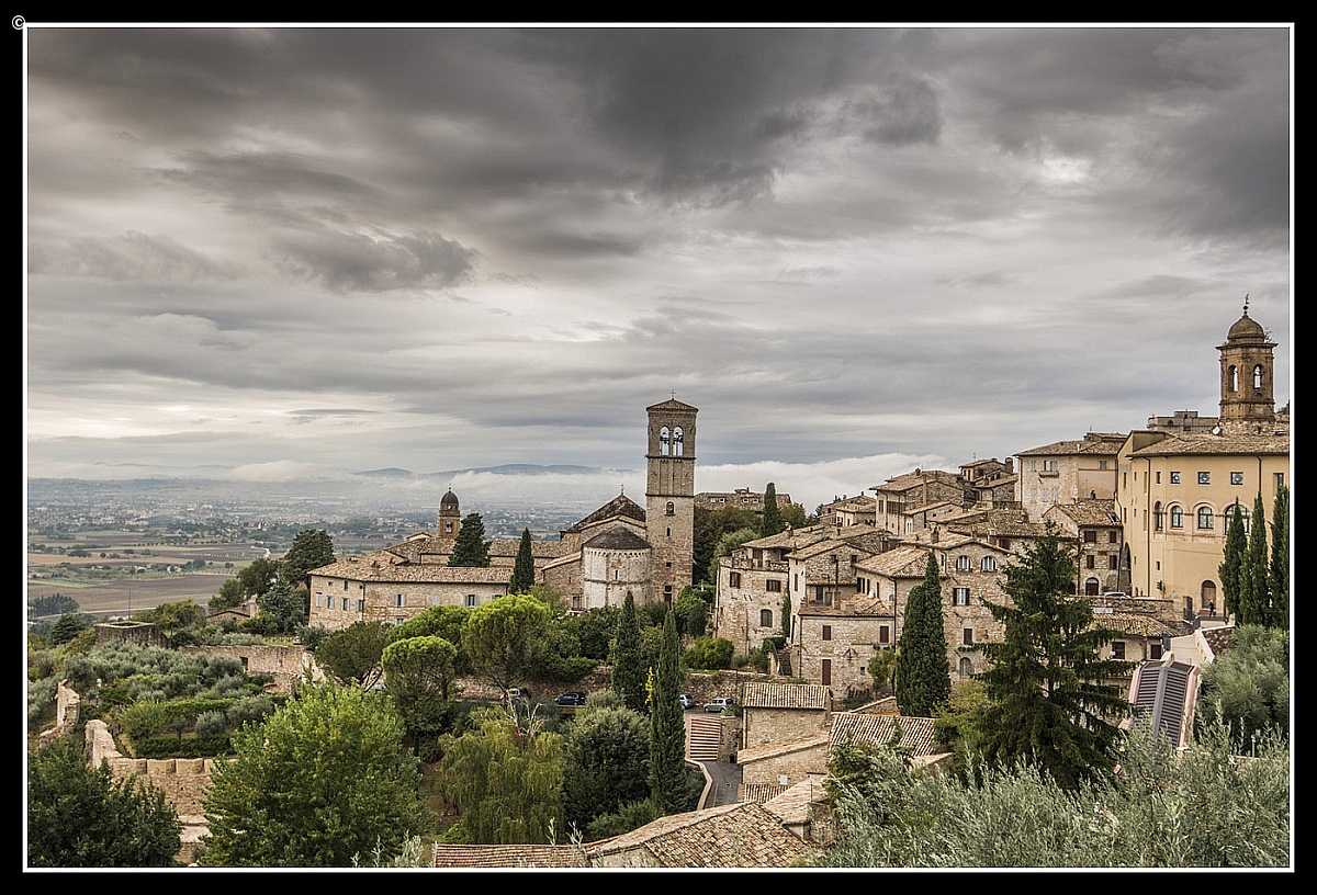 assisi...