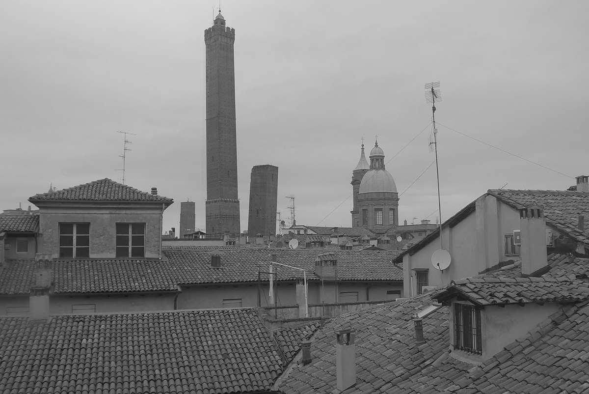 Roofs B & W Bologna...