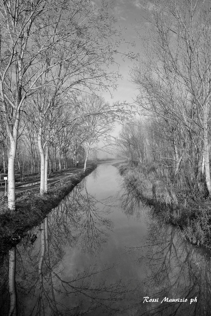 marsh...