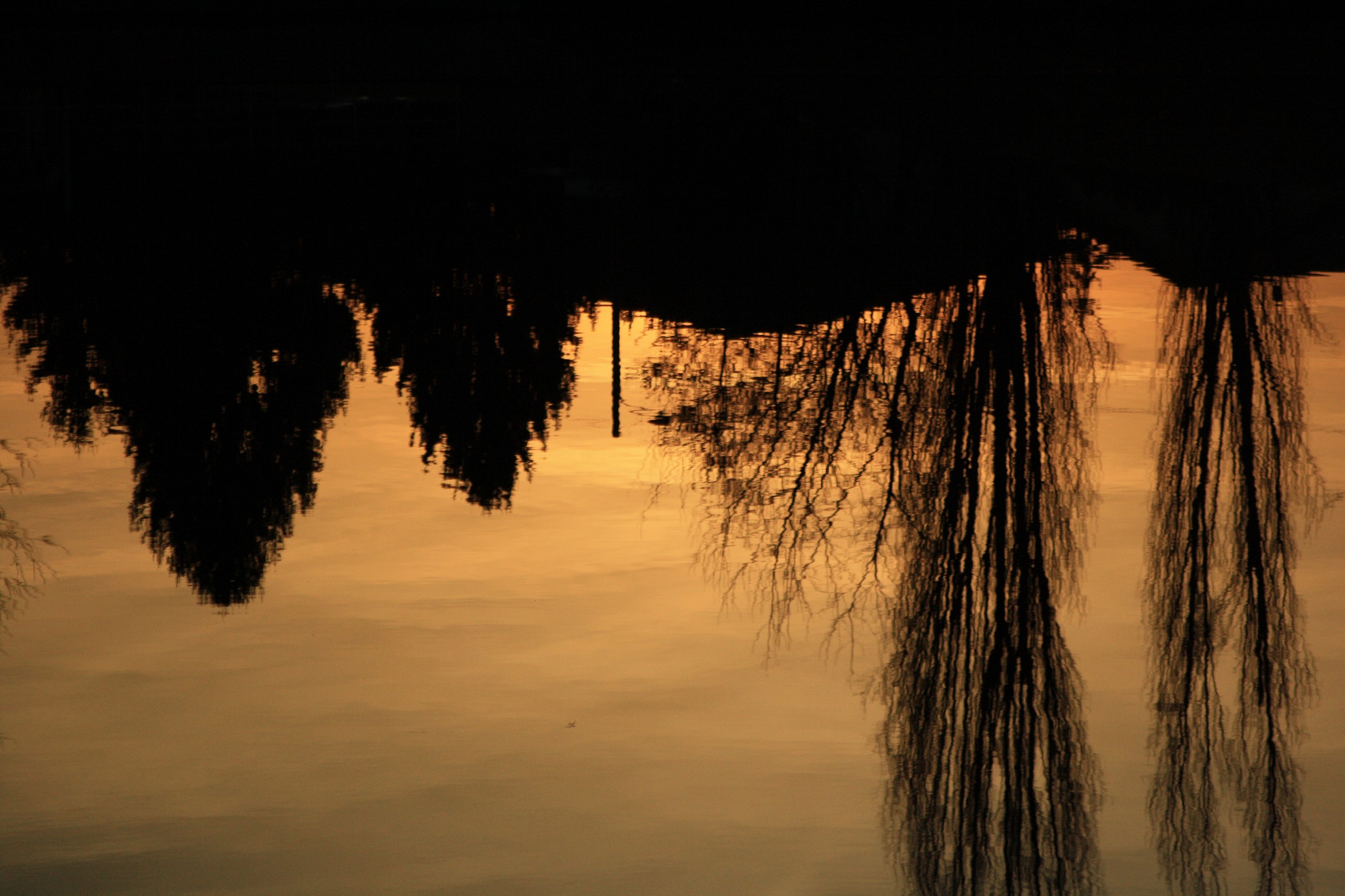 reflection of sunset...