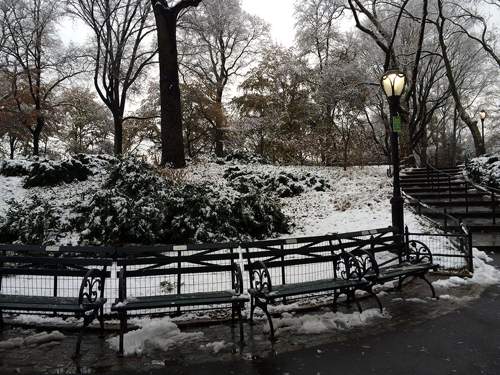 Central Park - NY...