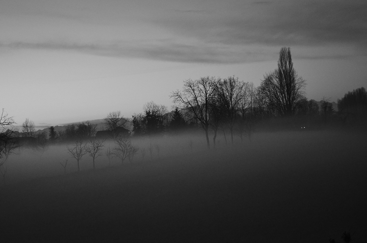 Fog in the Po Valley 2...
