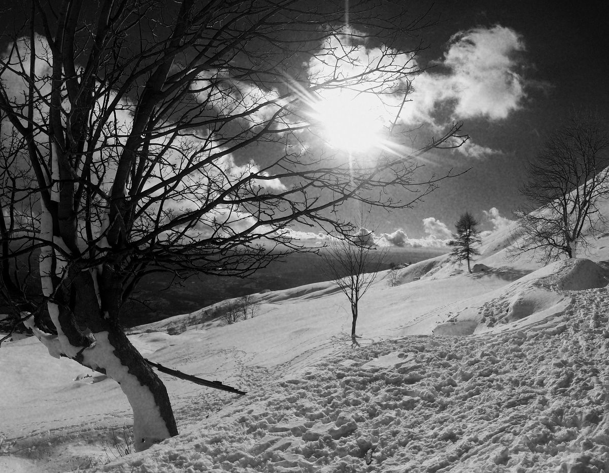 Sun and Snow B / W...