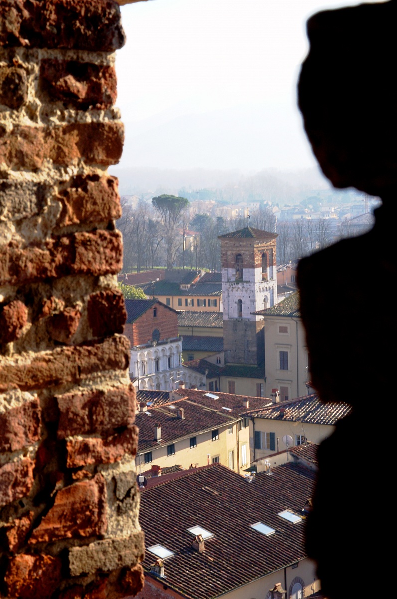 Lucca Cathedral view from the tower...