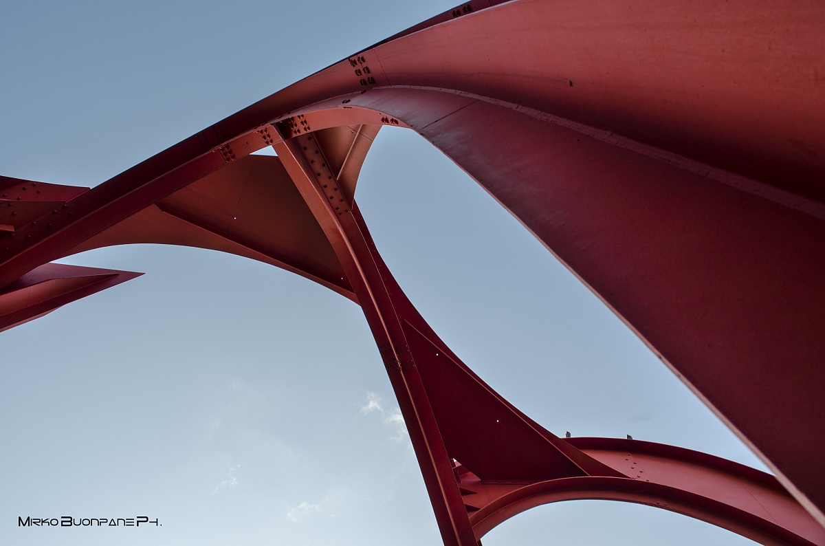 Araignée rouge by Alexander Calder...