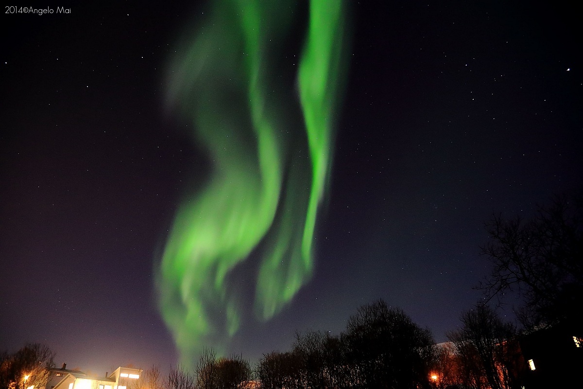 Aurora Tromso...
