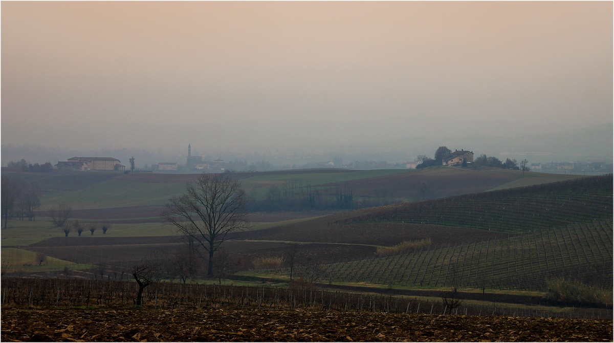 Hills of Monferrato...