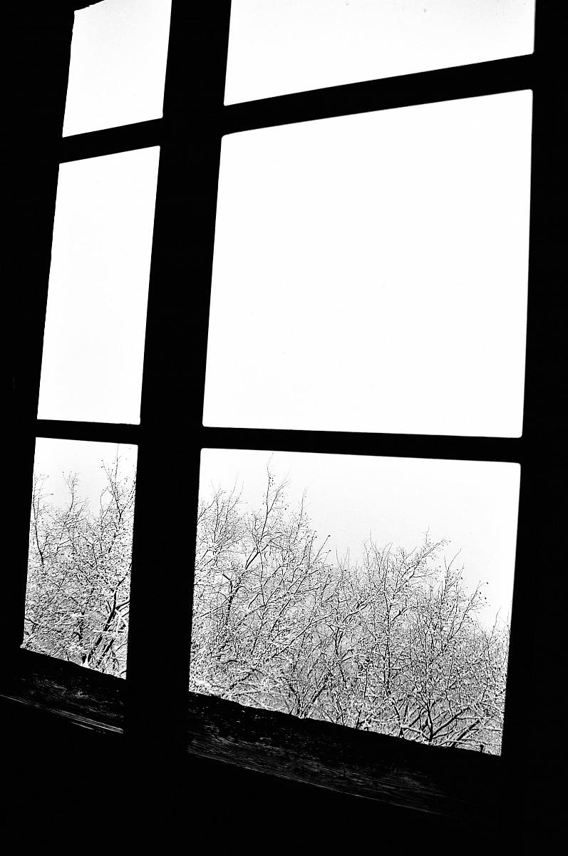l'inverno alla finestra...
