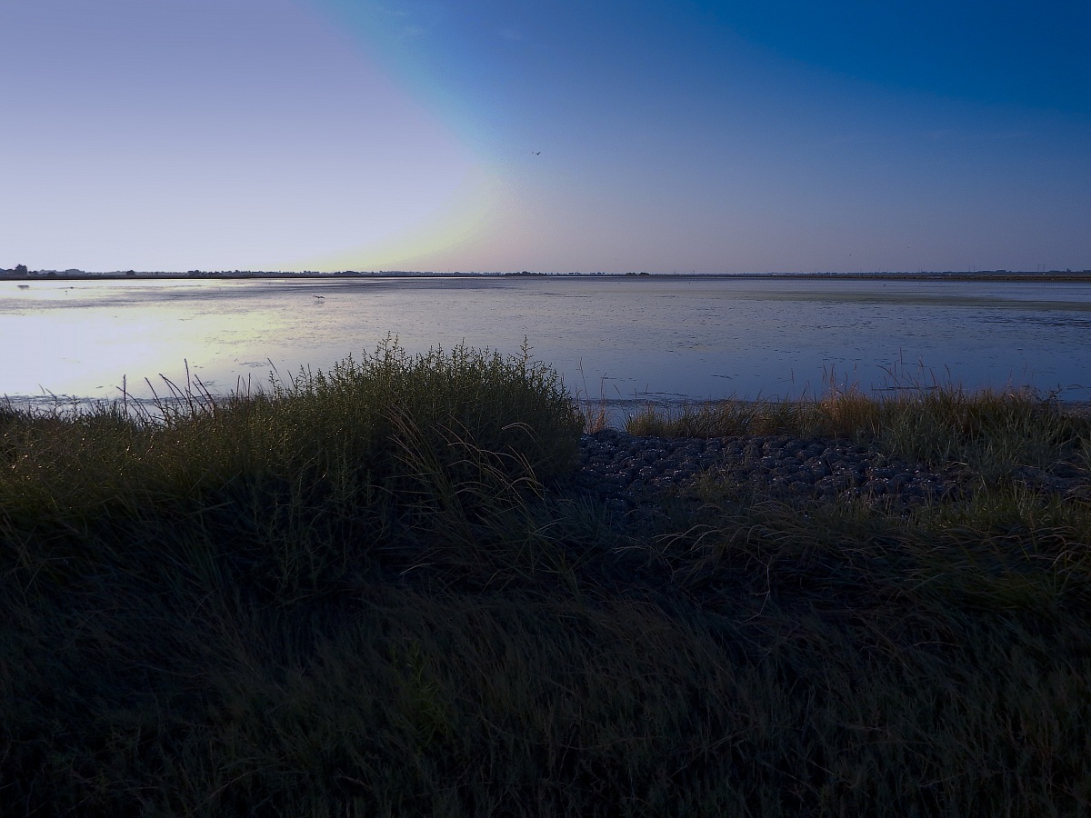 Saline of Cervia...