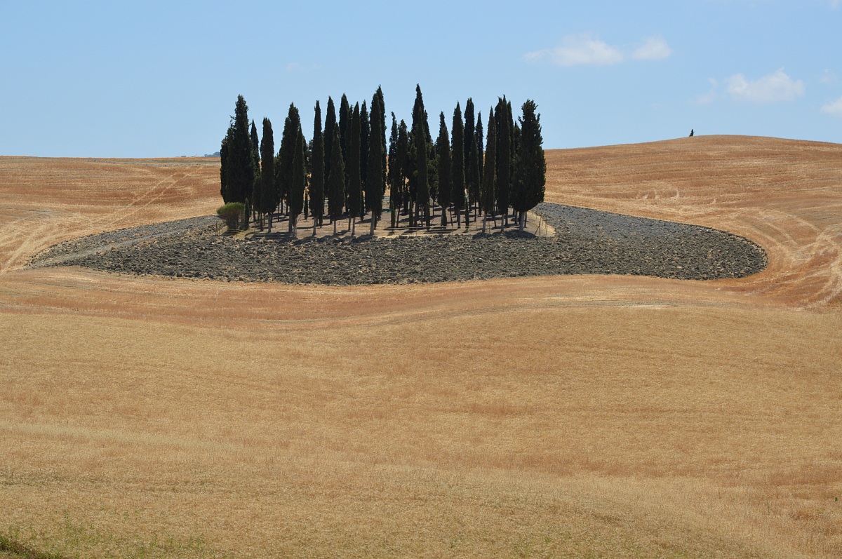 Countryside-Senese...