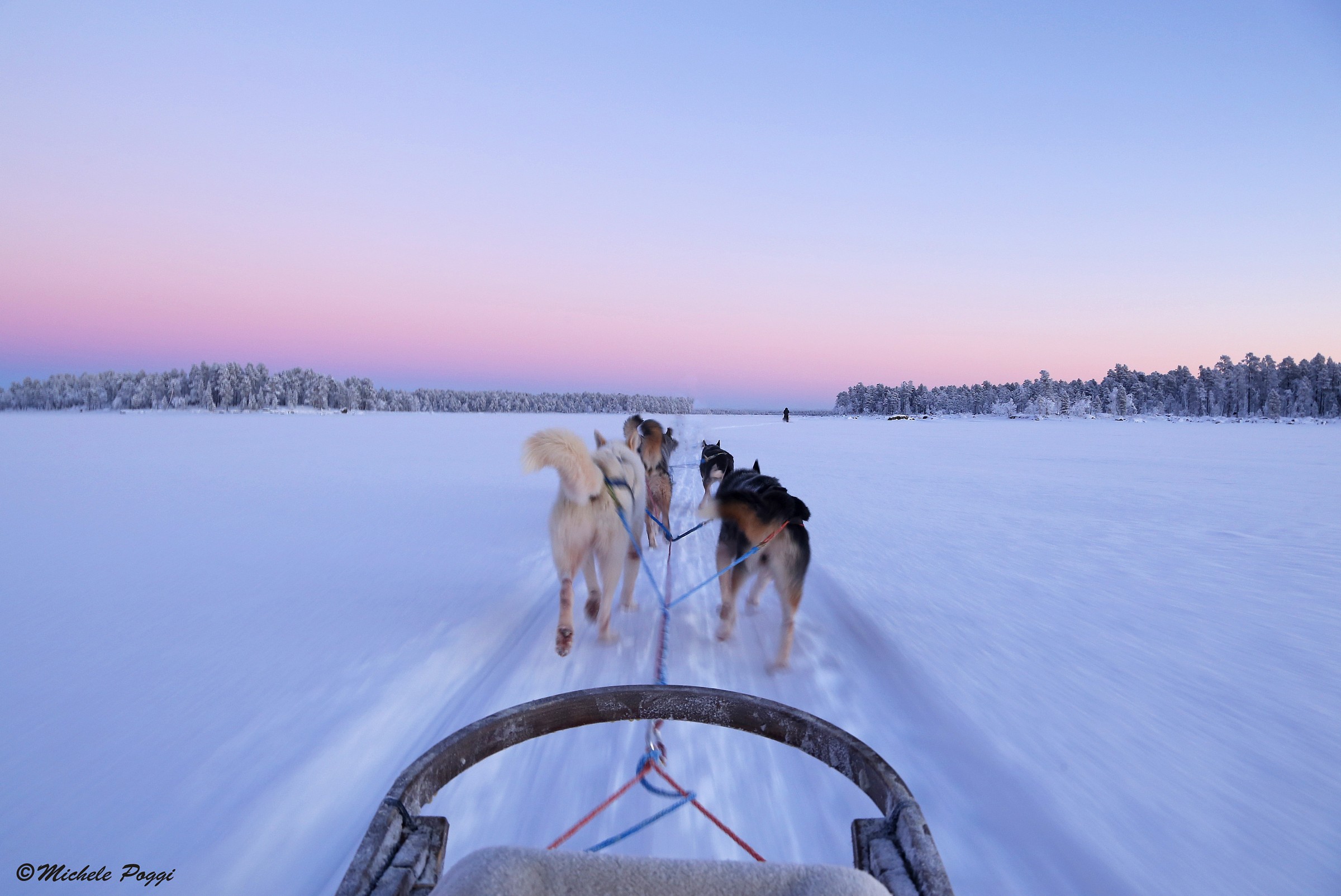 Lago Inari con gli Husky...