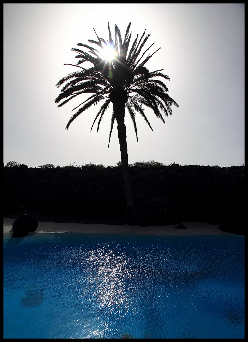 Blue Palm (Lanzarote)...