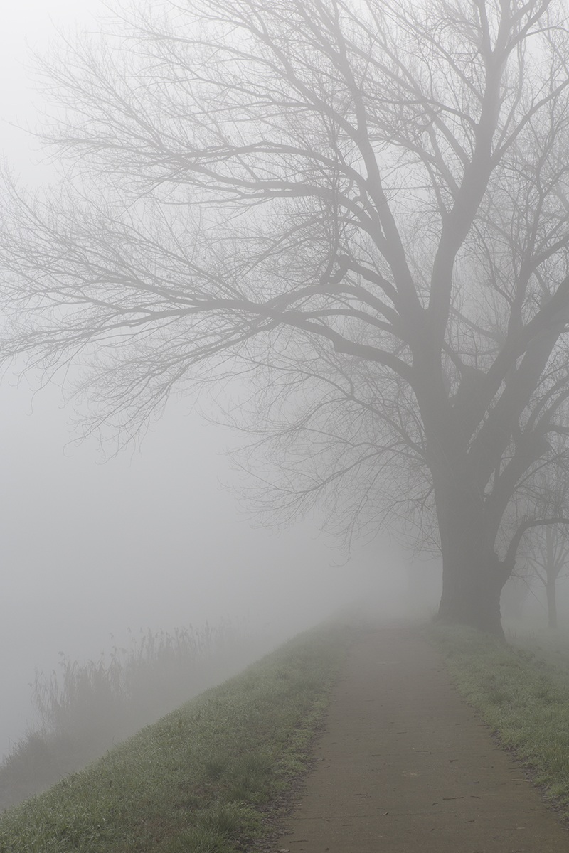 Nebbia in Val Padana...
