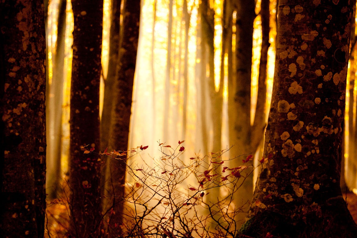 Untitled Photo...