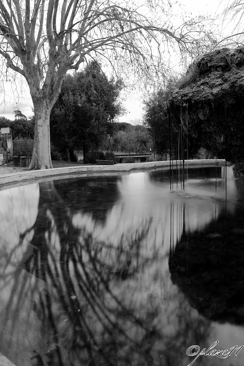 Reflections at Villa Pamphili...