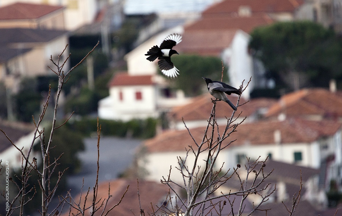 Untitled Photo...