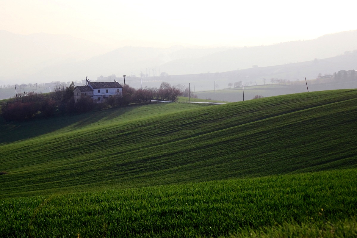 Countryside surroundings Maiolati Spontini (n)...