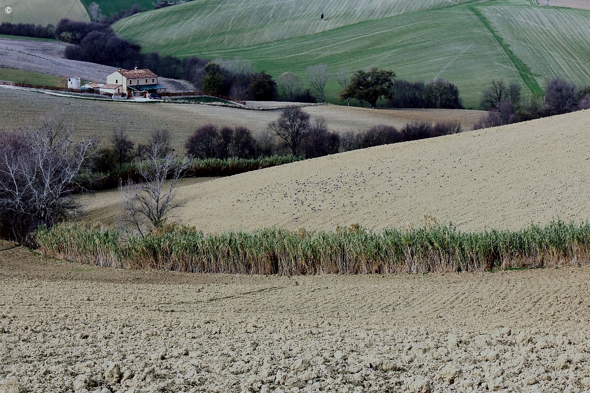 Marche countryside 2...