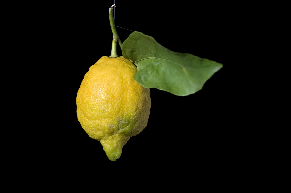 lemon...