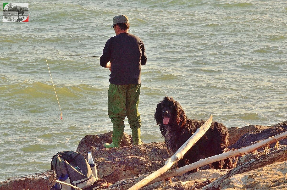 Dog Fishing...