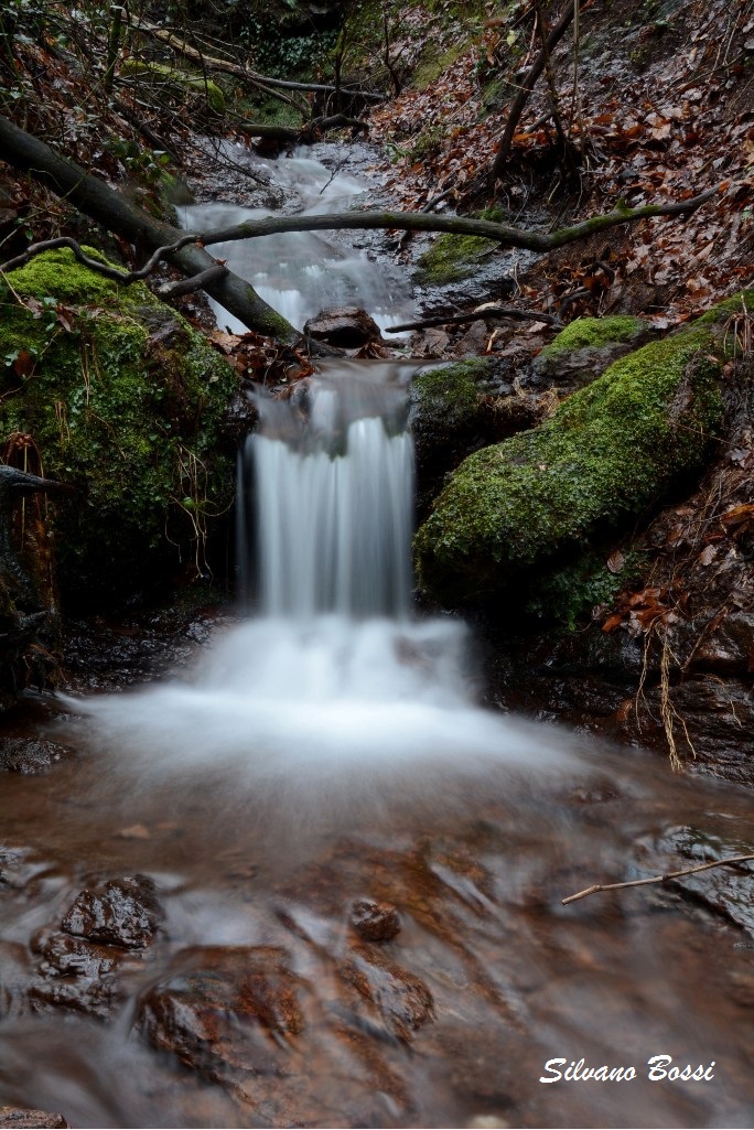 streamlet...