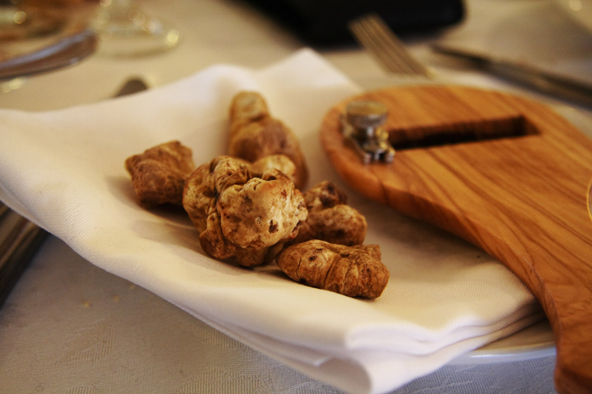 White truffles of Alba ready to be scratched....