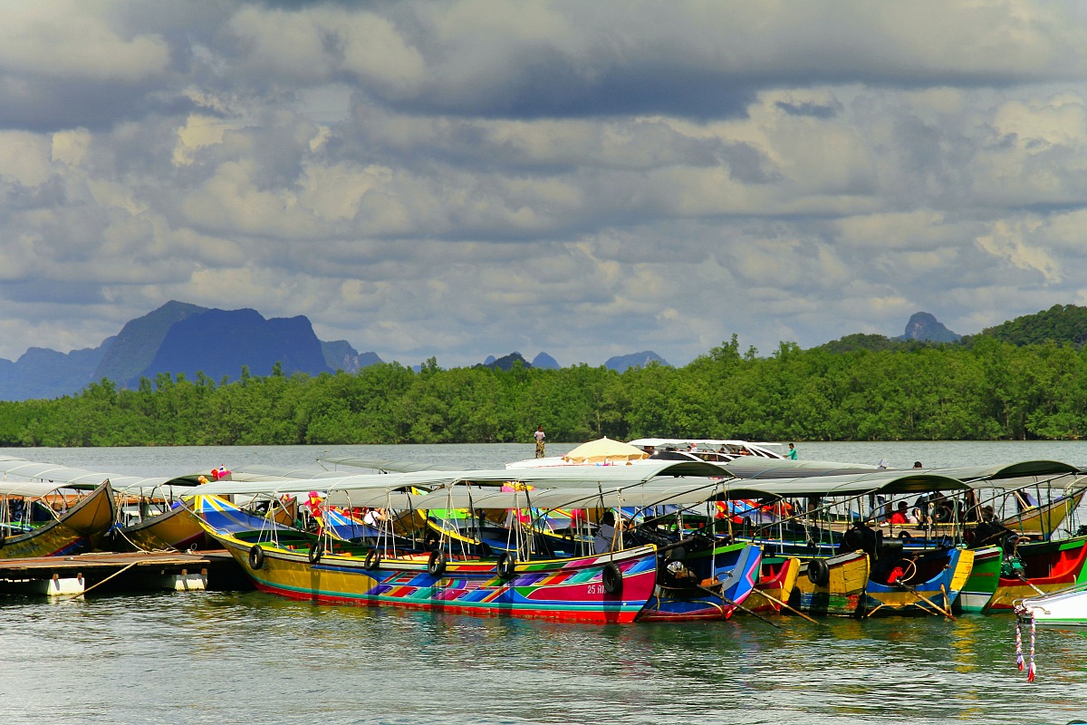 variopinto  (Ao Phang Nga Nationalpark)...