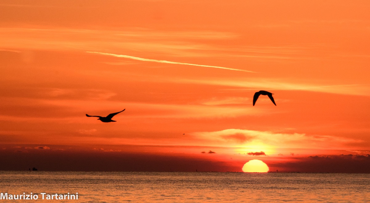 Sunrise and sea gulls...