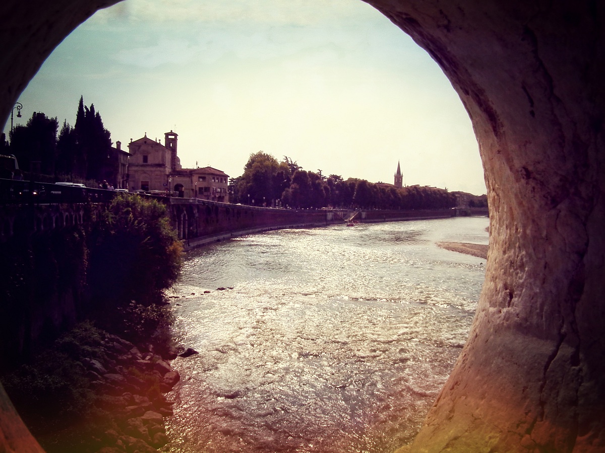 Untitled Photo...