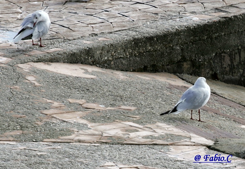 Untitled Photo...