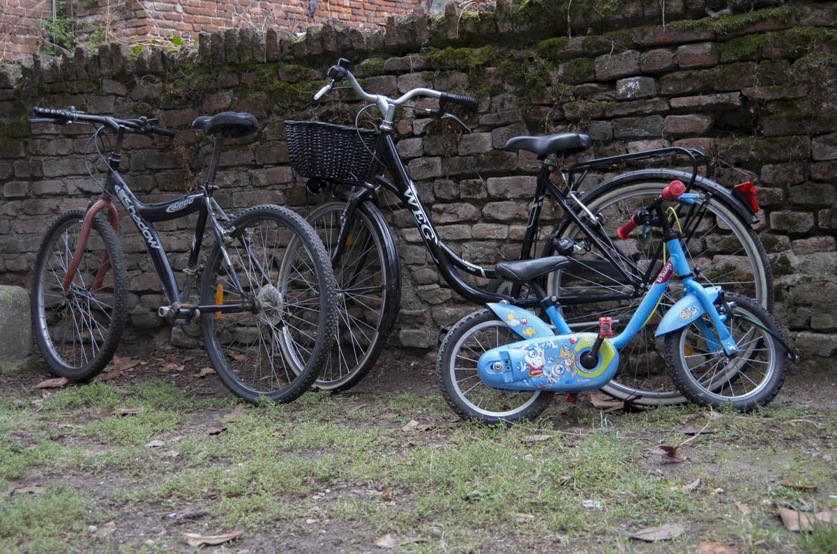 Famiglia di biciclette a Pavia...