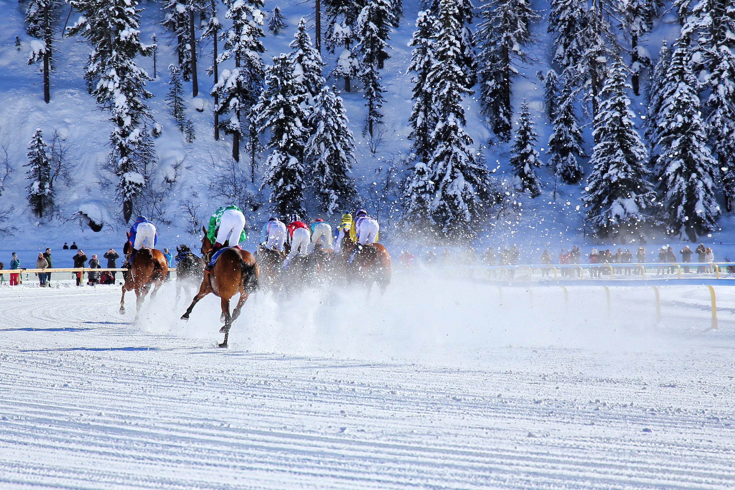 White Turf 2014 B-side...