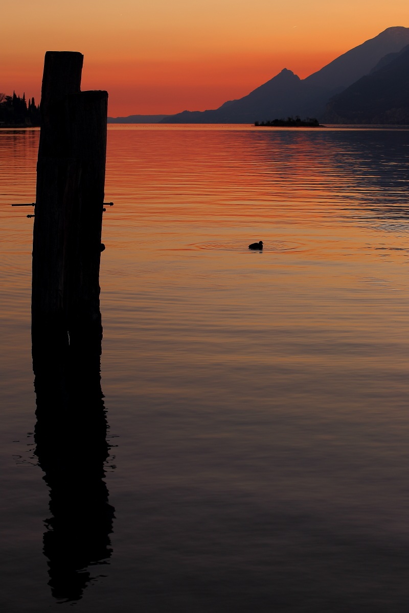 Rosa o Rosso? Malcesine - Lago di Garda...