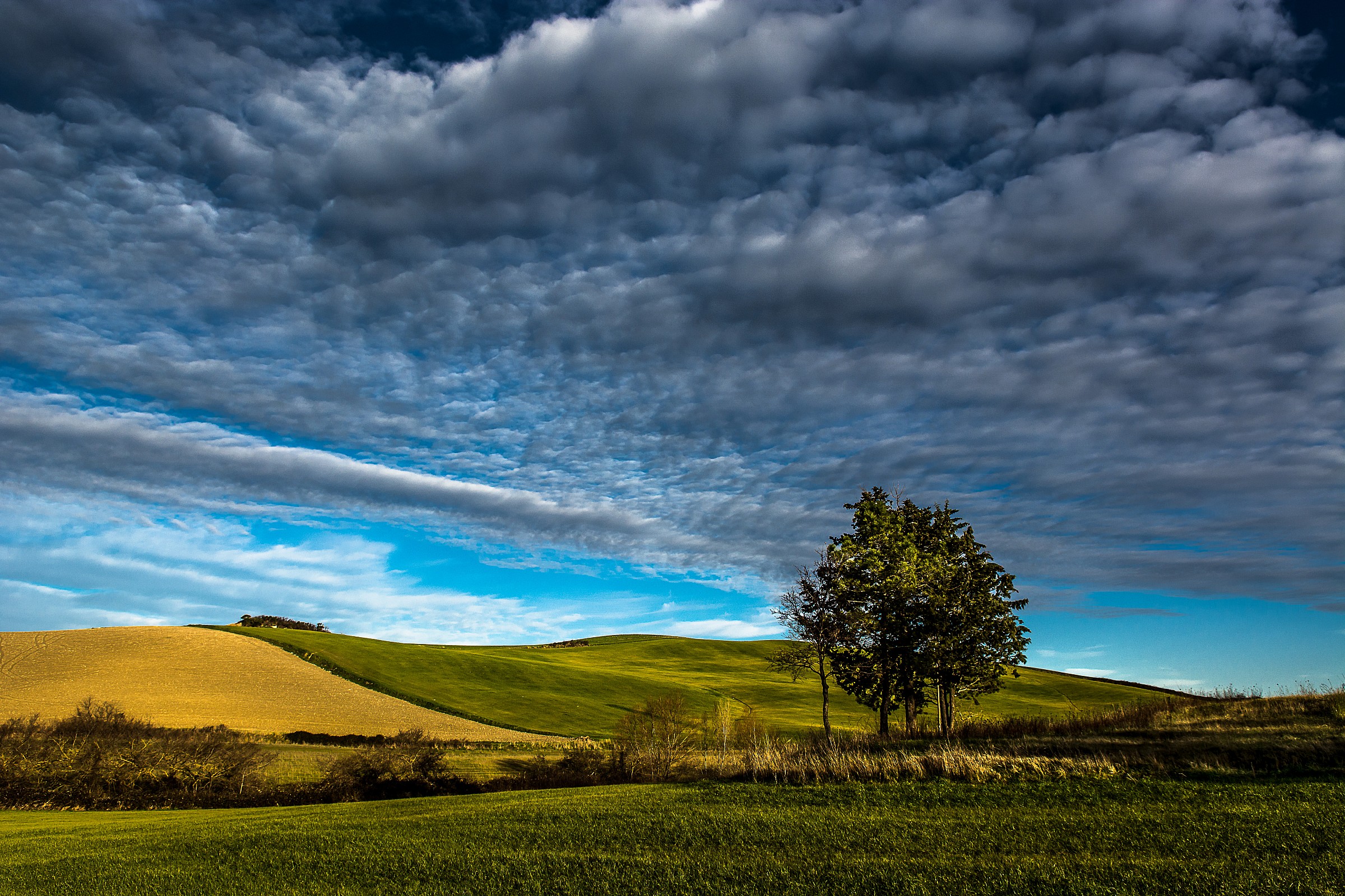 Tuscany hills | JuzaPhoto