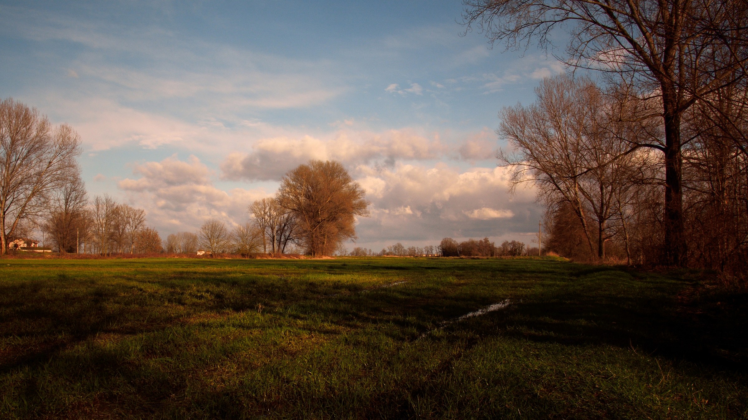 campagna pavese...