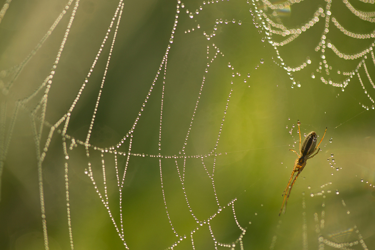 Warming at dawn...