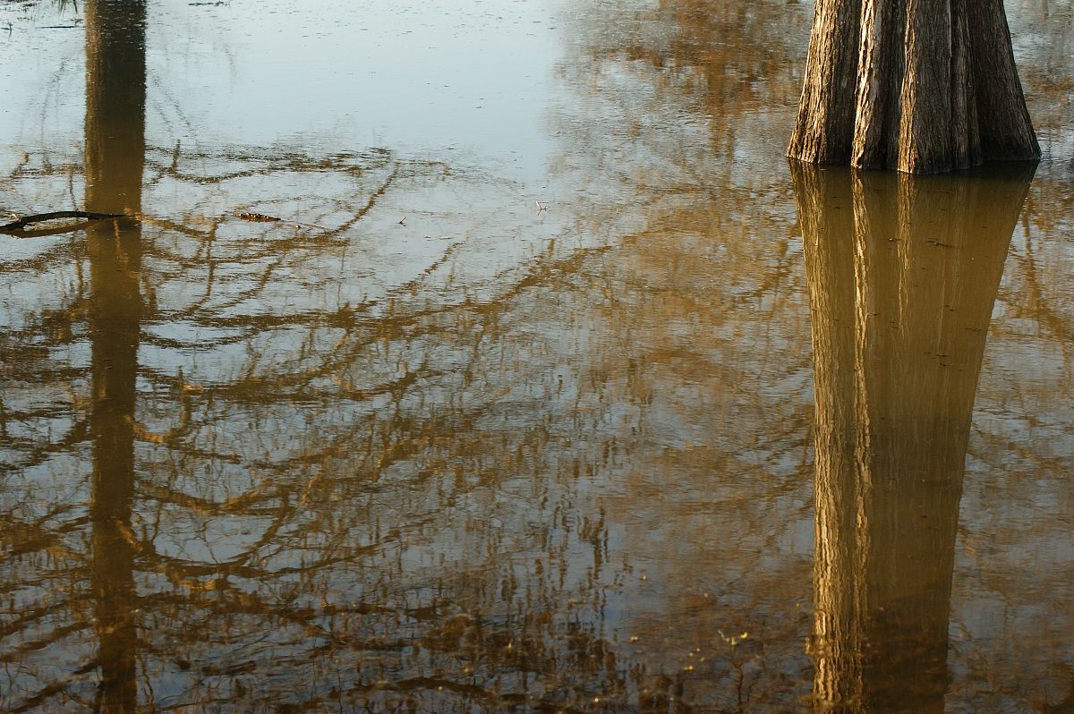 after big rain...