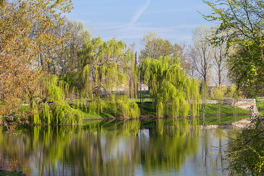 parco Forlanini...