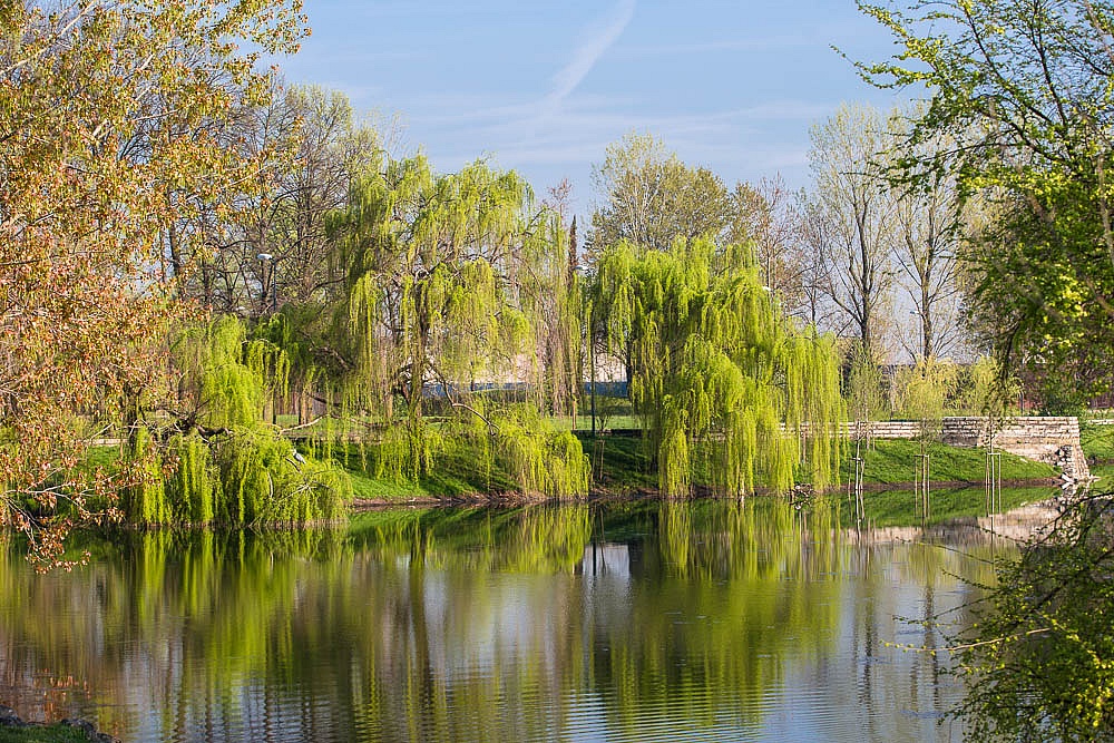 Forlanini park...