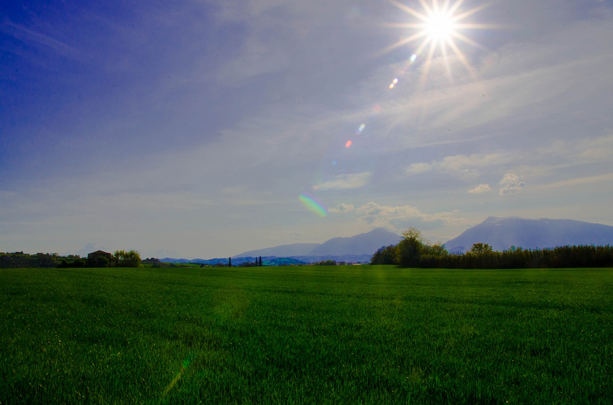 Untitled Photo...
