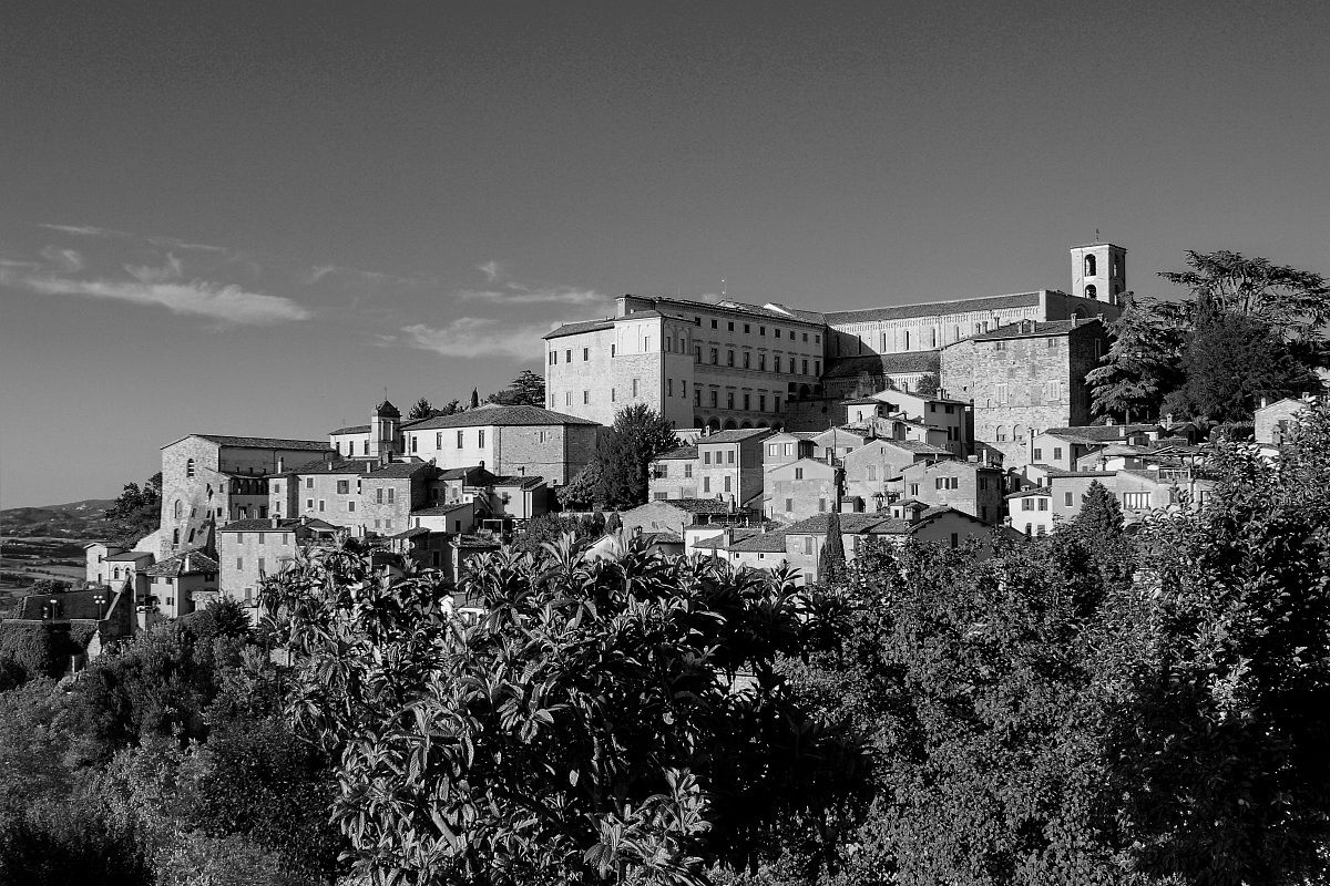 Todi...