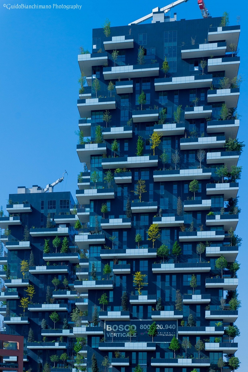 Vertical forest...