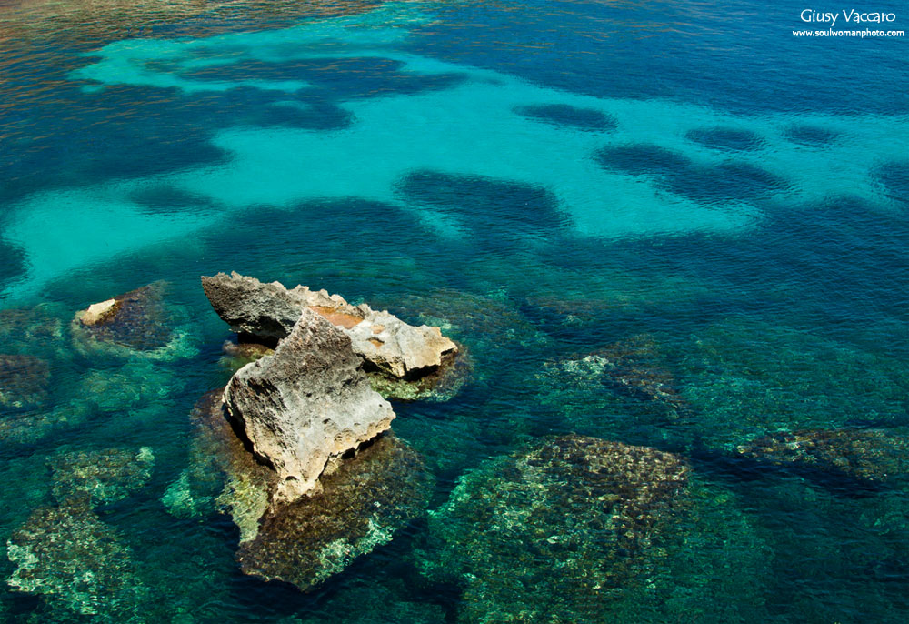 Egadi Islands Marine Nature Reserve...