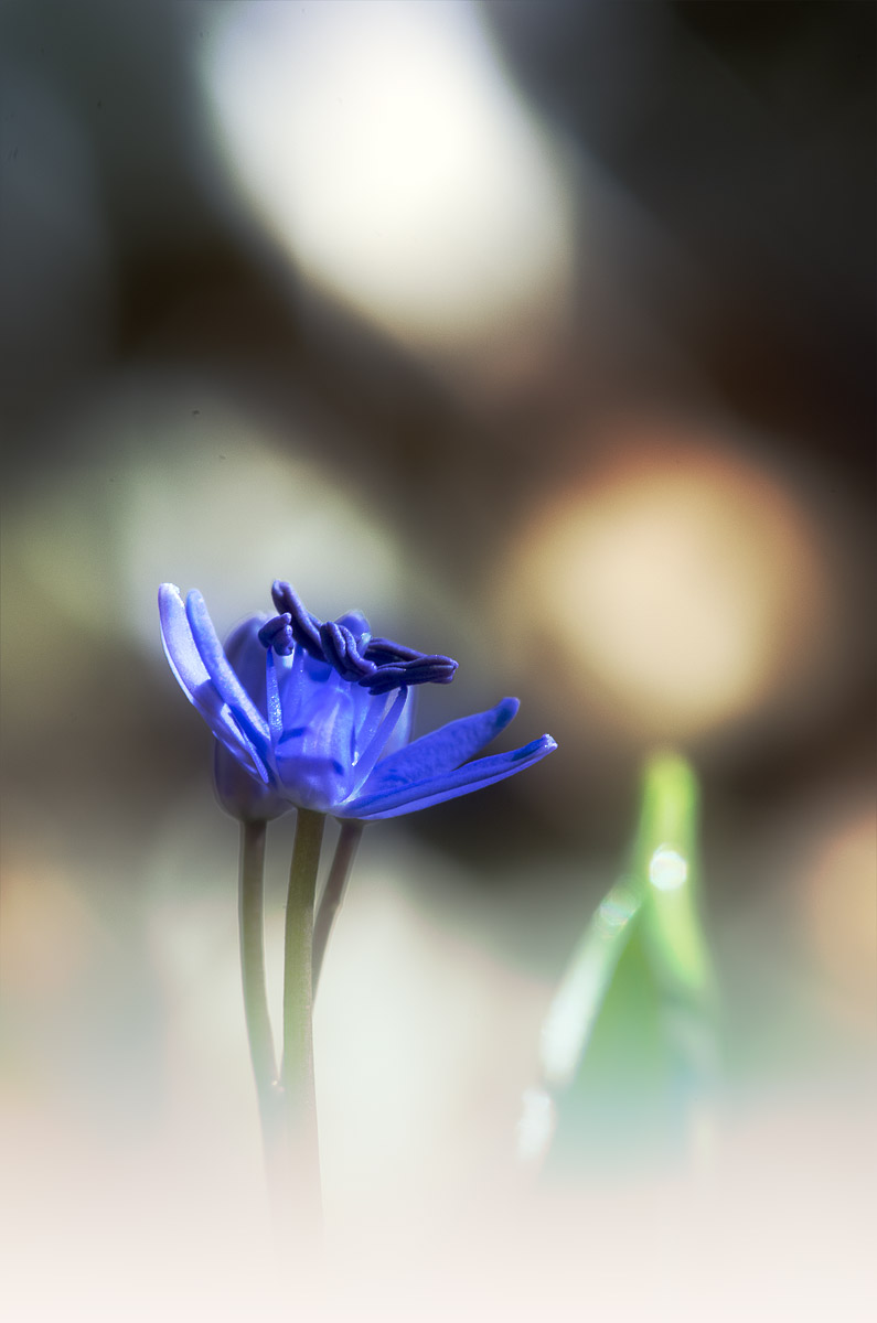 light...