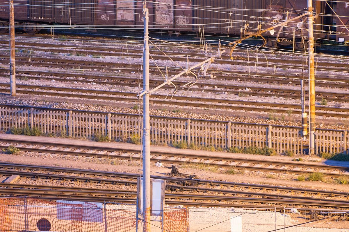 150mm + Teleconverter Kenko DGX 2X = 300mm...