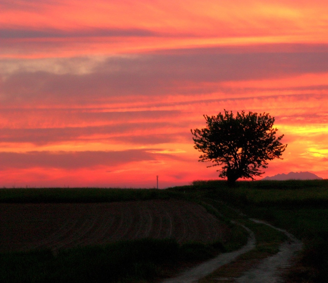 Verso l'Incendio del cielo...