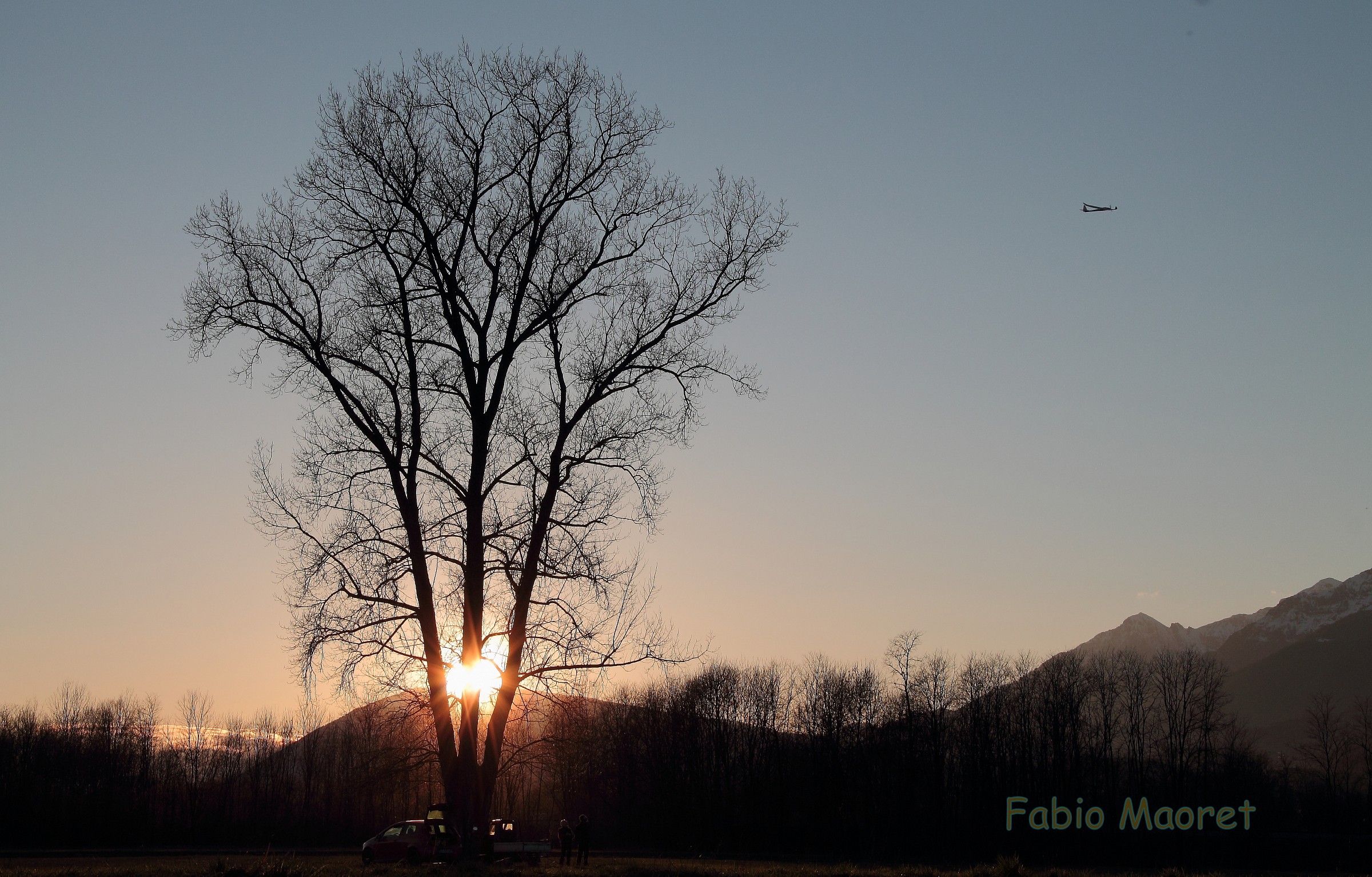 The Tree, Sunset, and The Airplane .......