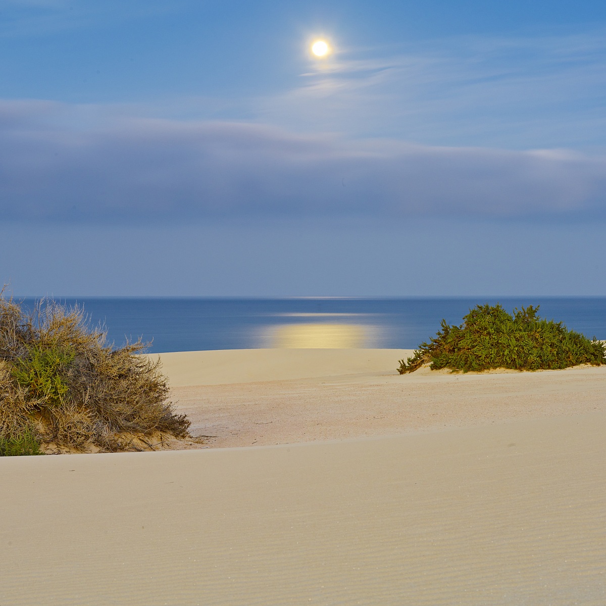 Moon in the dunes...