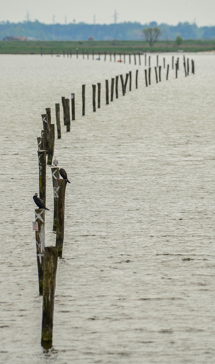 Comacchio...