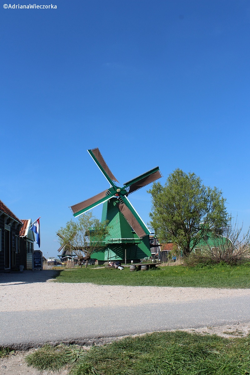 The green windmill...